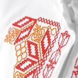 Mužská vyšívaná košeľa BYSTRÍK, límec košele